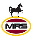 MRS Holdings Plc